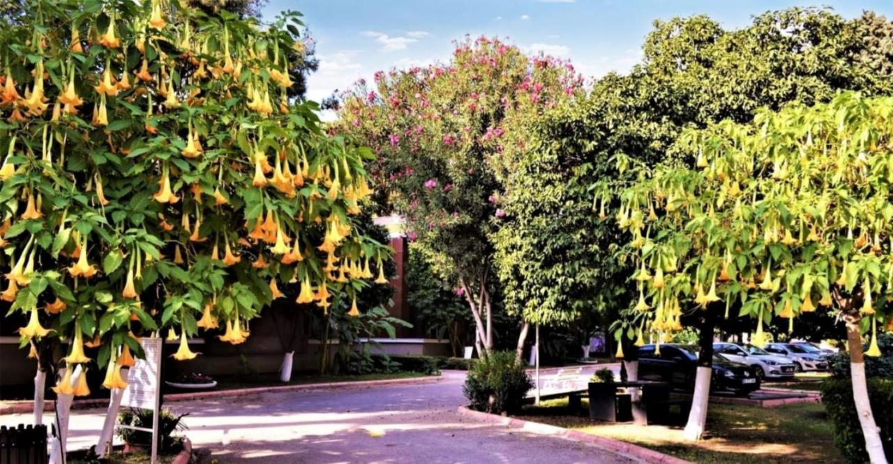 Çetinel Tesisleri Hotel Adana Exterior foto